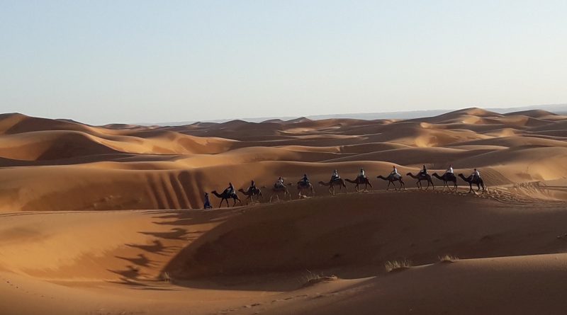 Real Sahara desert (Erg Chebbi near Merzouga) : Camel Ride & overnight in desert tent