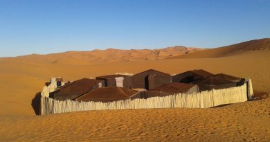 Desert Camp tents
