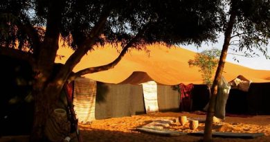 Sahara desert Camping camps in the desert economy budget range
