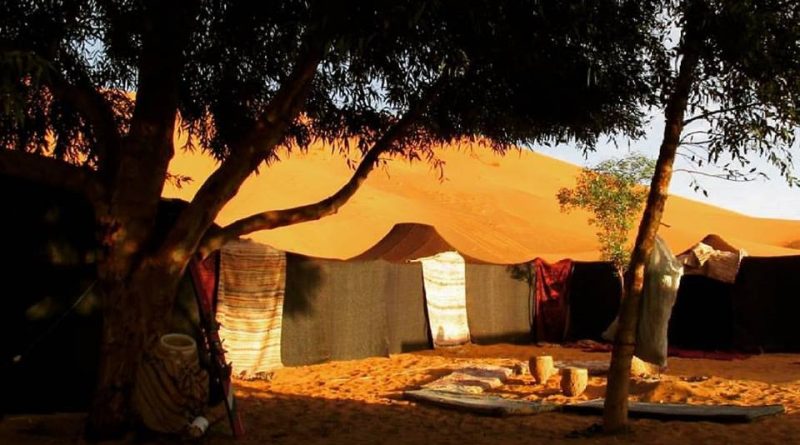 Sahara desert Camping camps in the desert economy budget range